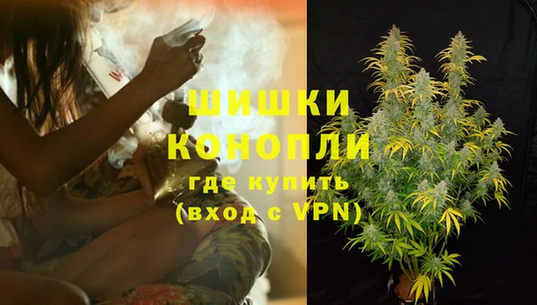 бошки Бородино