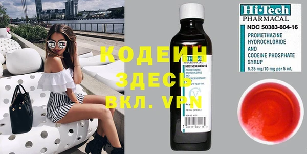 бошки Бородино