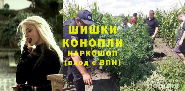 МДПВ Бронницы