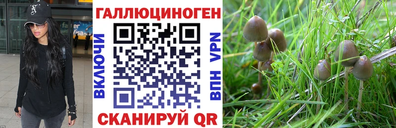 Псилоцибиновые грибы MAGIC MUSHROOMS  купить наркотик  Симферополь 